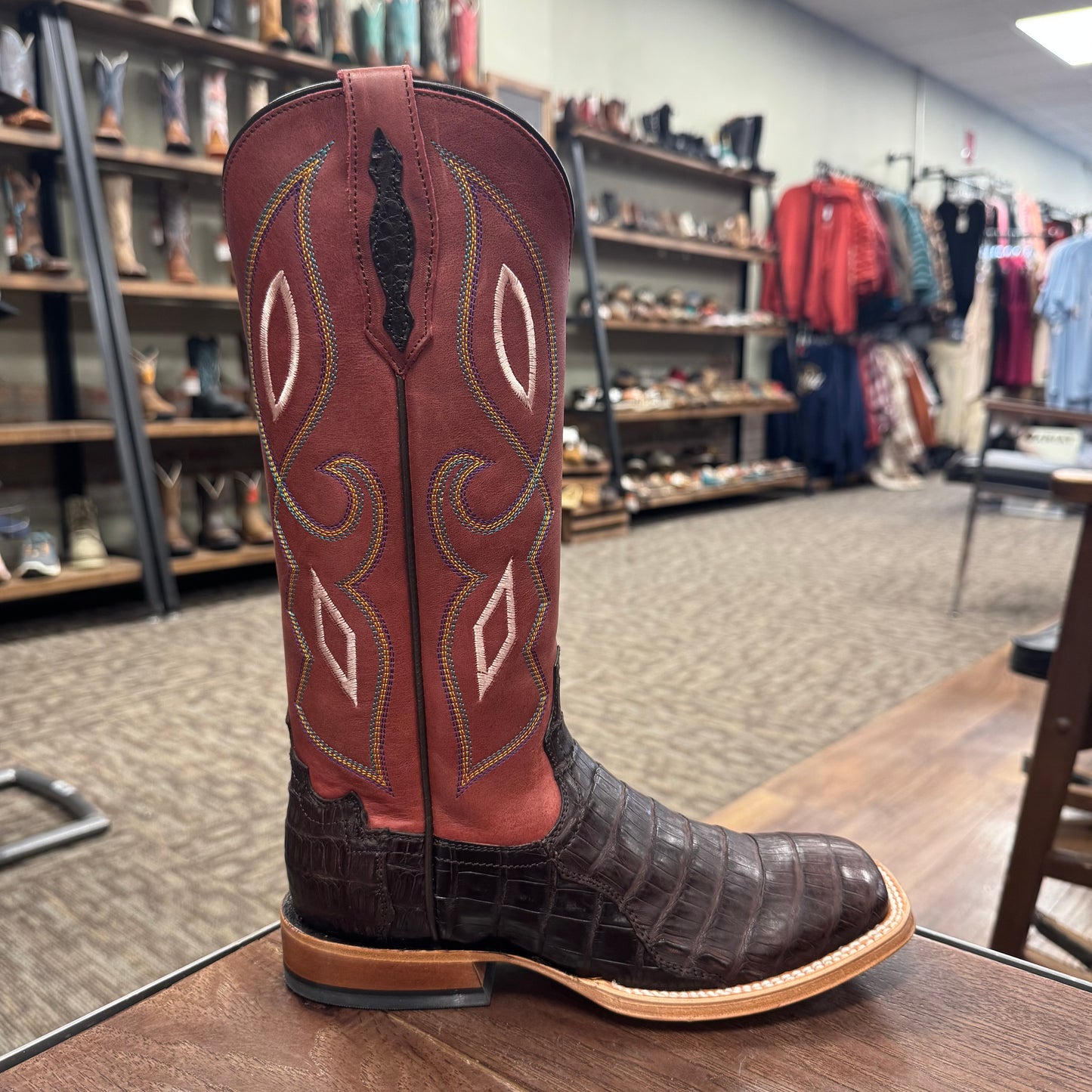 Tony Lama TL5401L Chocolate Caiman Belly