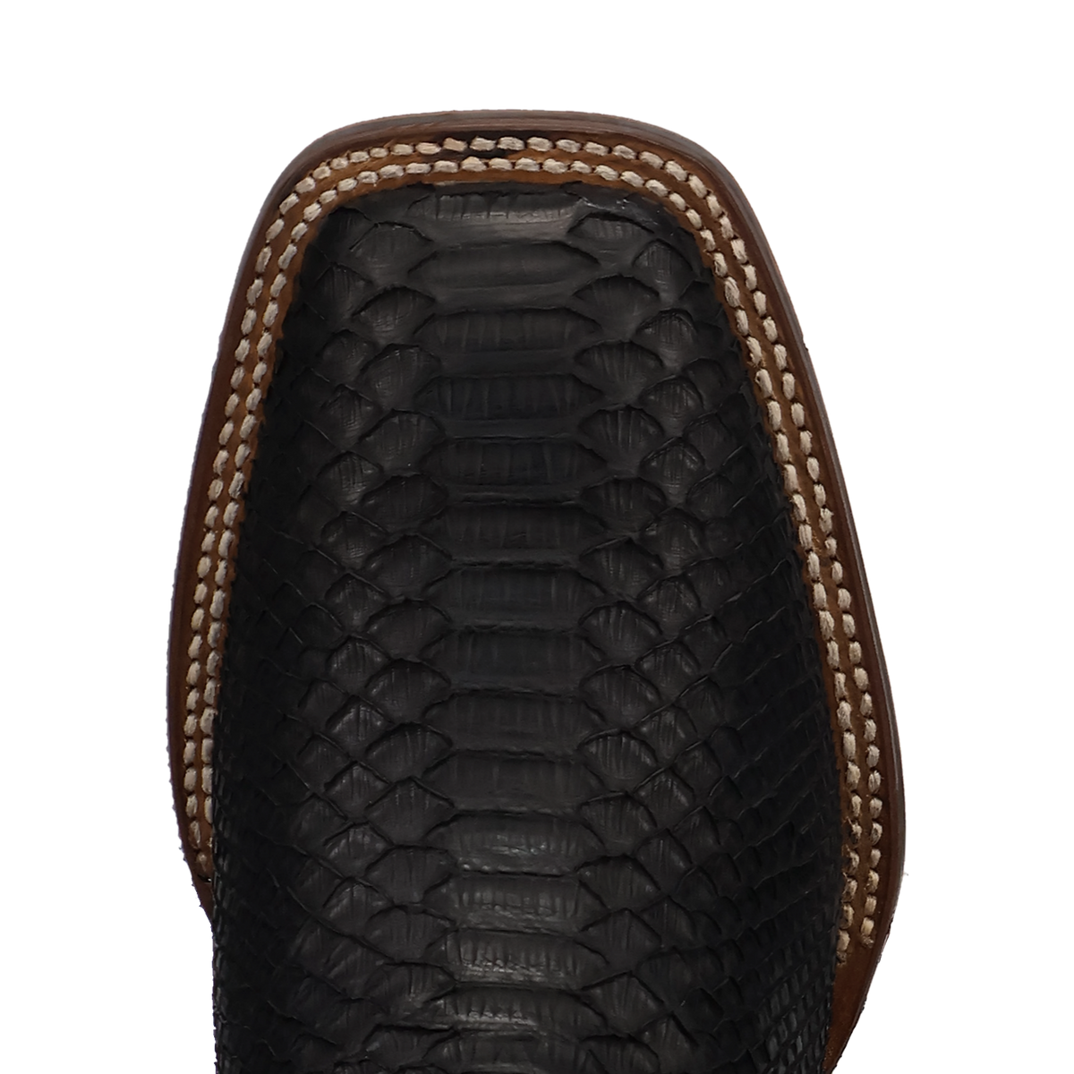 Dan Post DP5269 Midnight Black Python Reign Boot