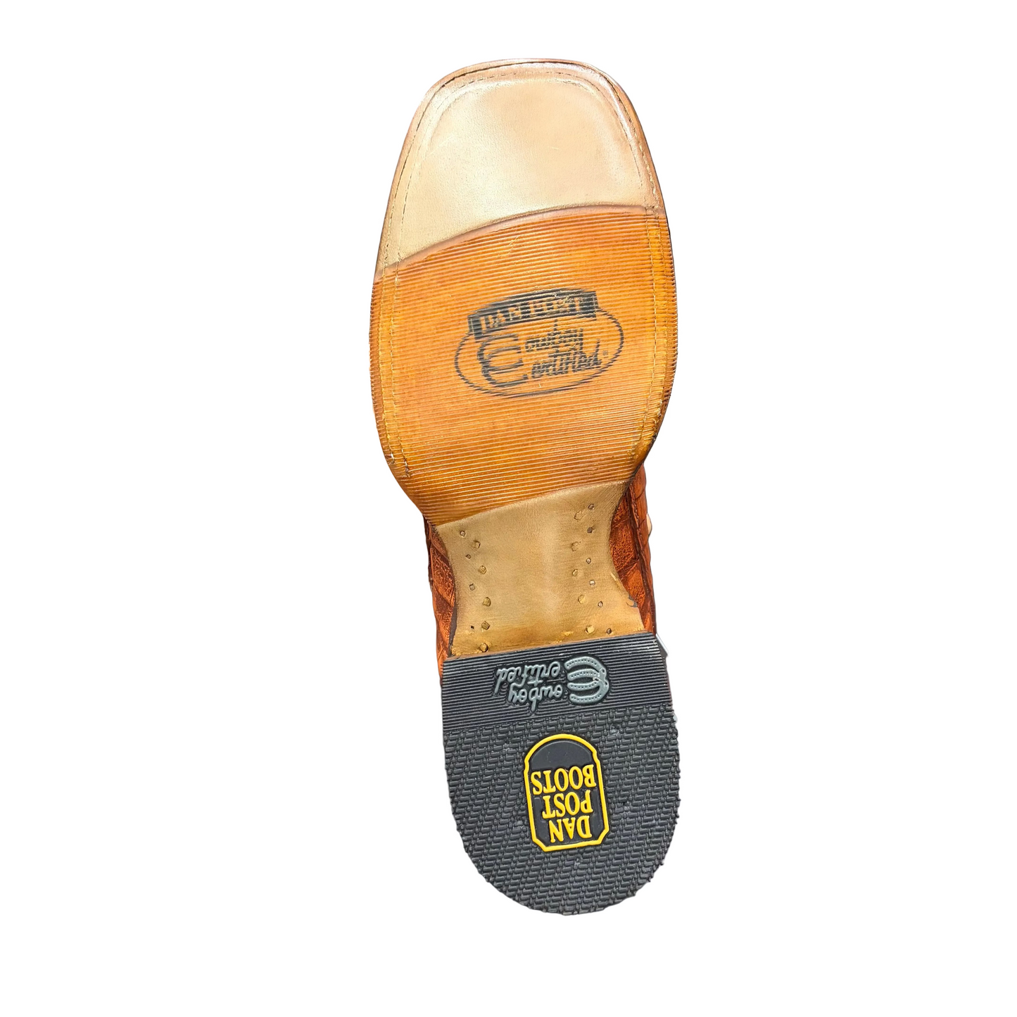 Dan Post DP5239 Marsh Caiman Cognac / Blue Boot