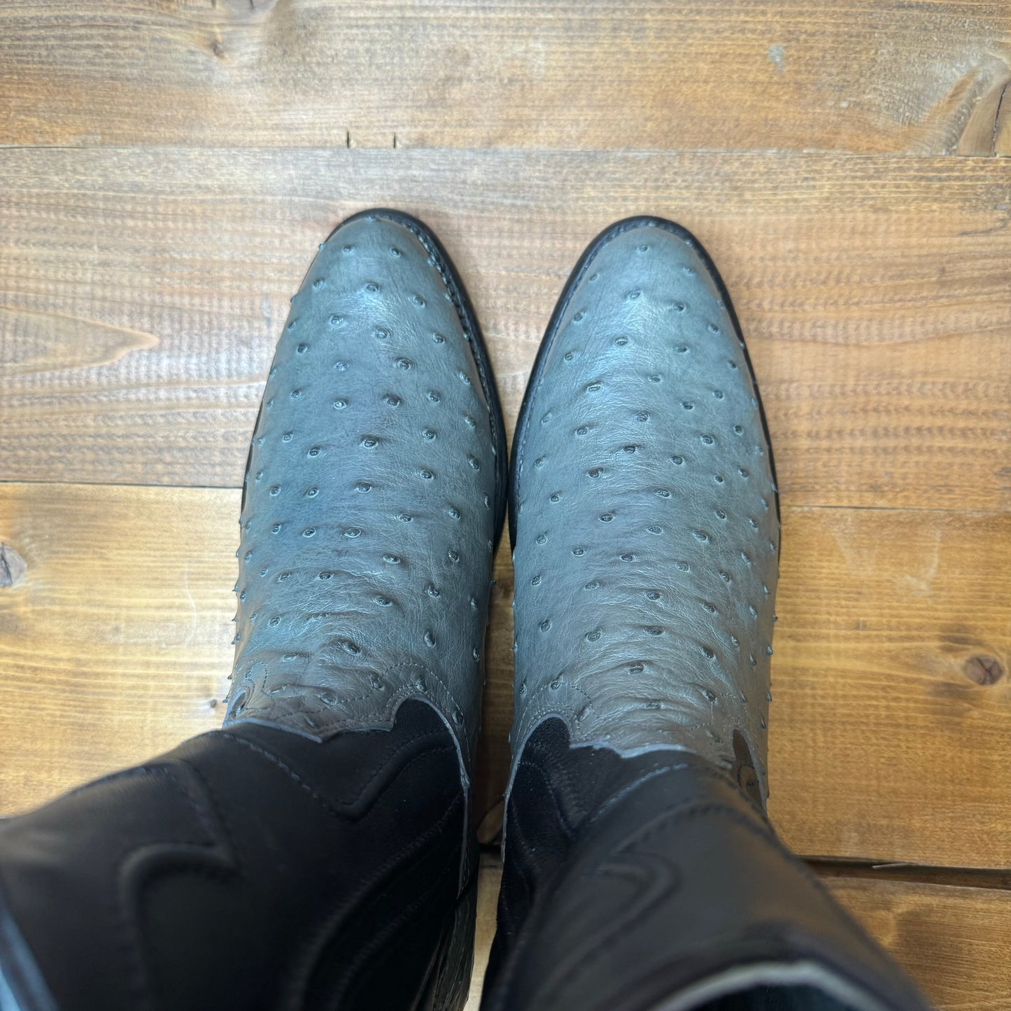 Los Altos 1690309 Gray Full Quill Ostrich Roper