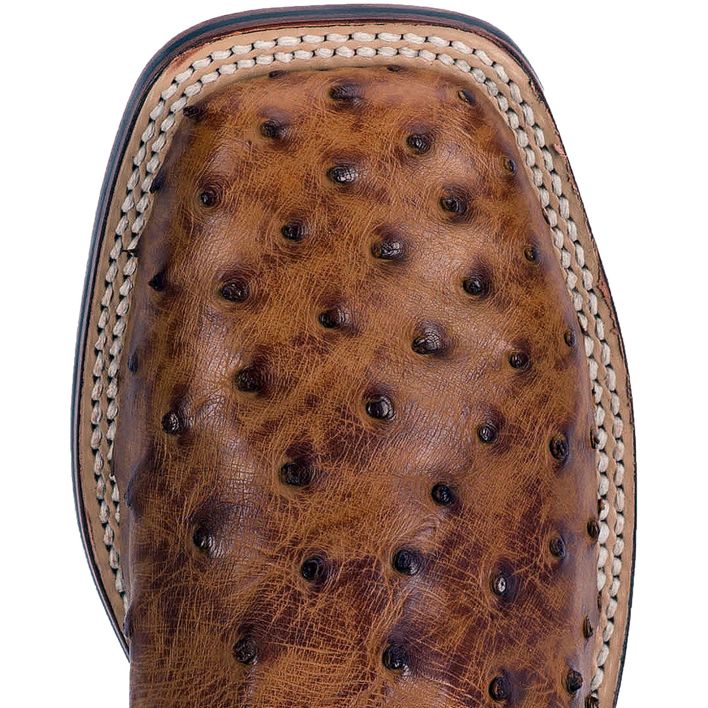 Dan Post DP3876 Alamosa Full Quill Ostrich Saddle Tan Brown