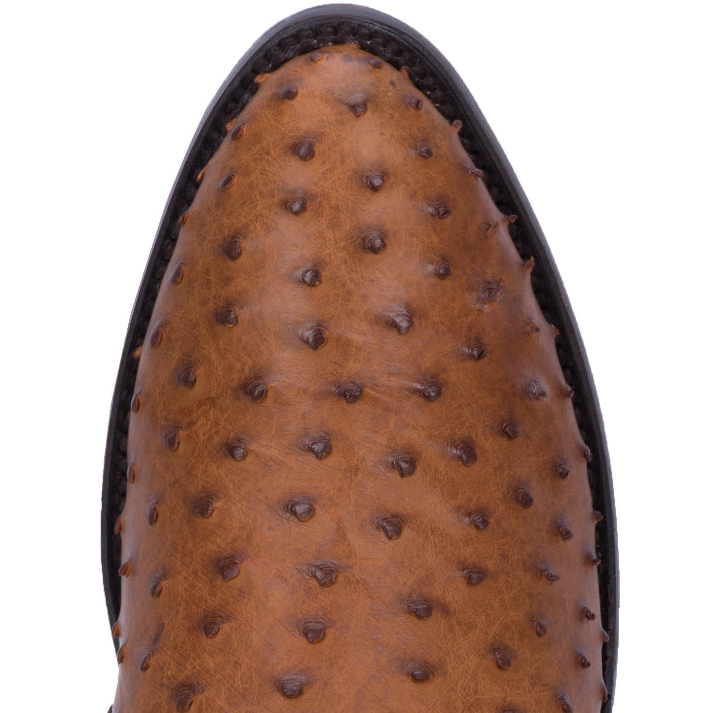 Dan post DP2323 Full Quill Ostrich Western Saddle Brown Chocolate